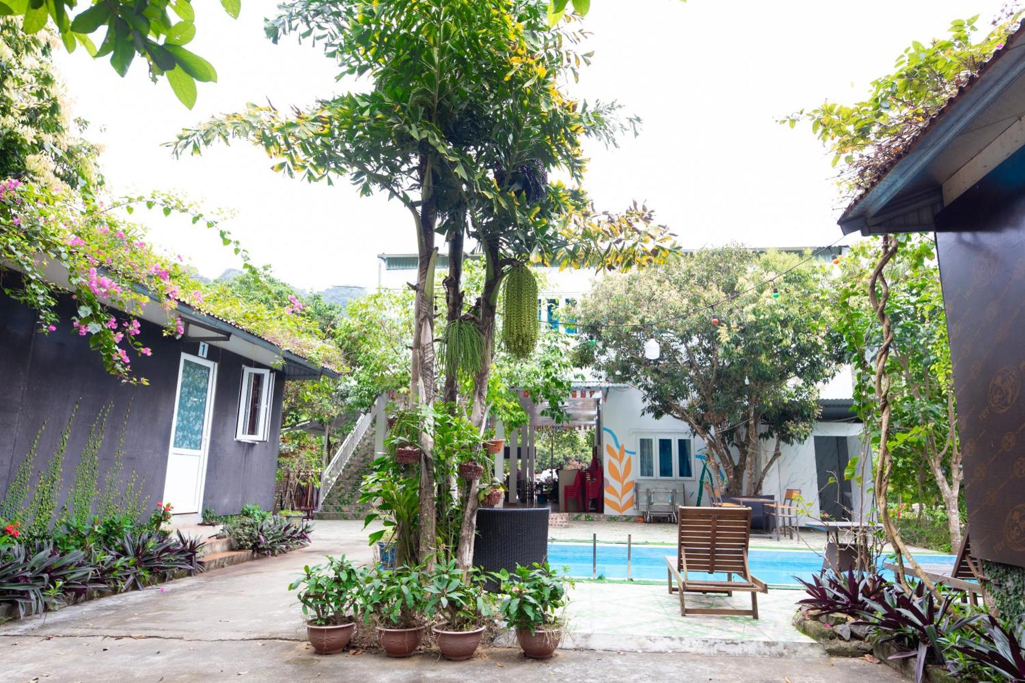 Cat Ba Countryside Homestay Dong Khe Sau Exterior foto