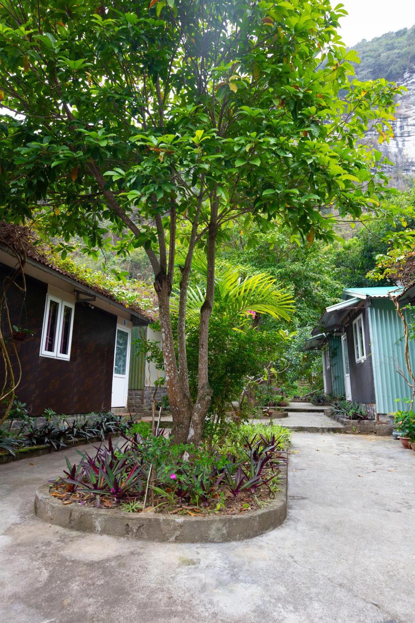 Cat Ba Countryside Homestay Dong Khe Sau Exterior foto
