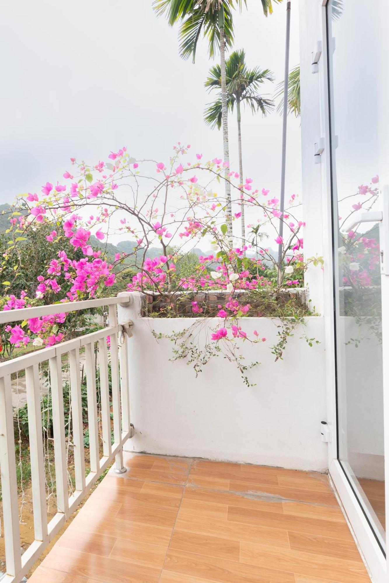 Cat Ba Countryside Homestay Dong Khe Sau Exterior foto